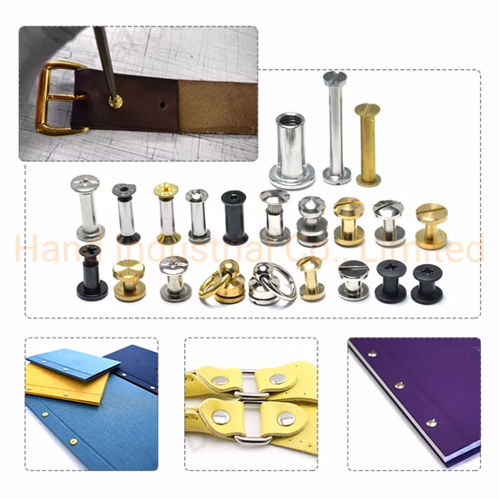 M3 M4 6 8 10 mm SUS304 316 Messing Titan Bronze Grün Kupfer Leder Holzbrett Griff Leine Gürtel Bindung Schraube Zylindermutter